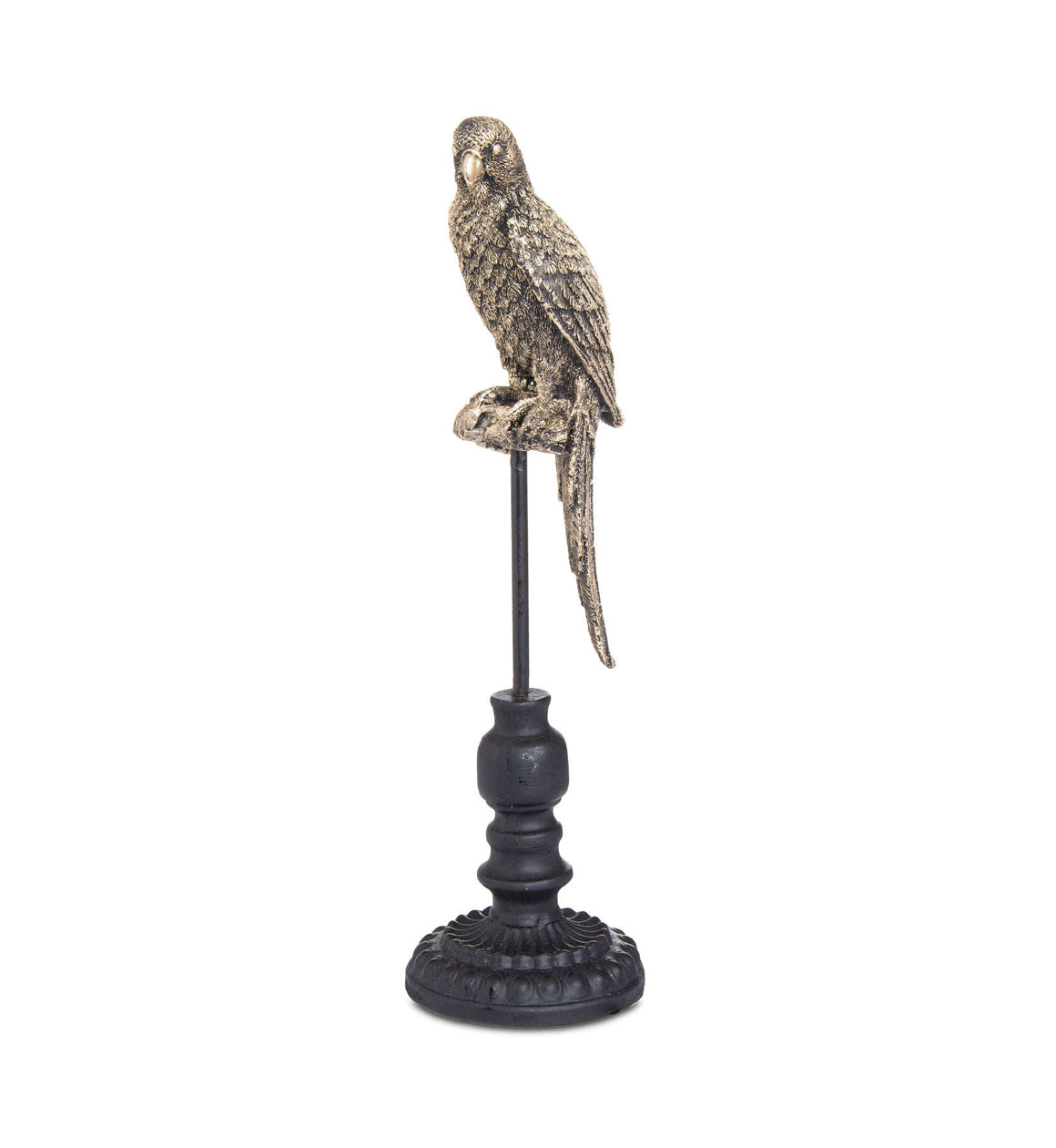 Bronze Perching Budgie