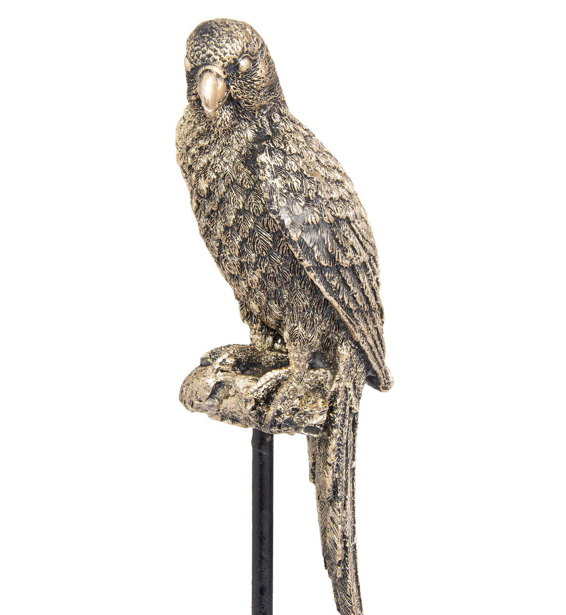 Bronze Perching Budgie