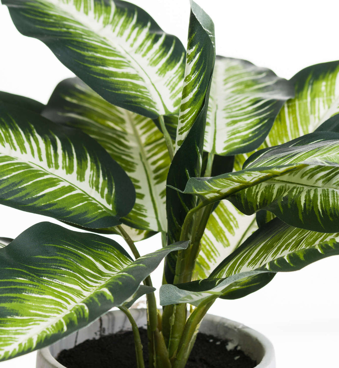 Dieffenbachia Faux Plant in Marble Pot