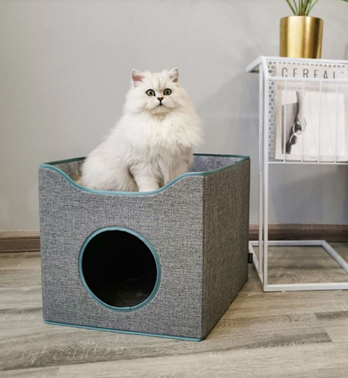Double Layer Pet House