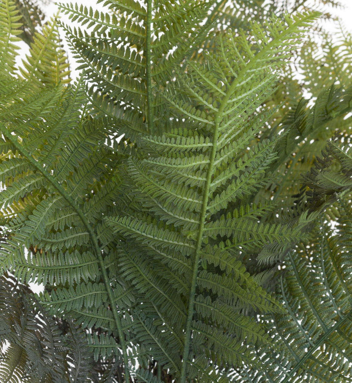 Large Faux Fern Grass in Stone Pot