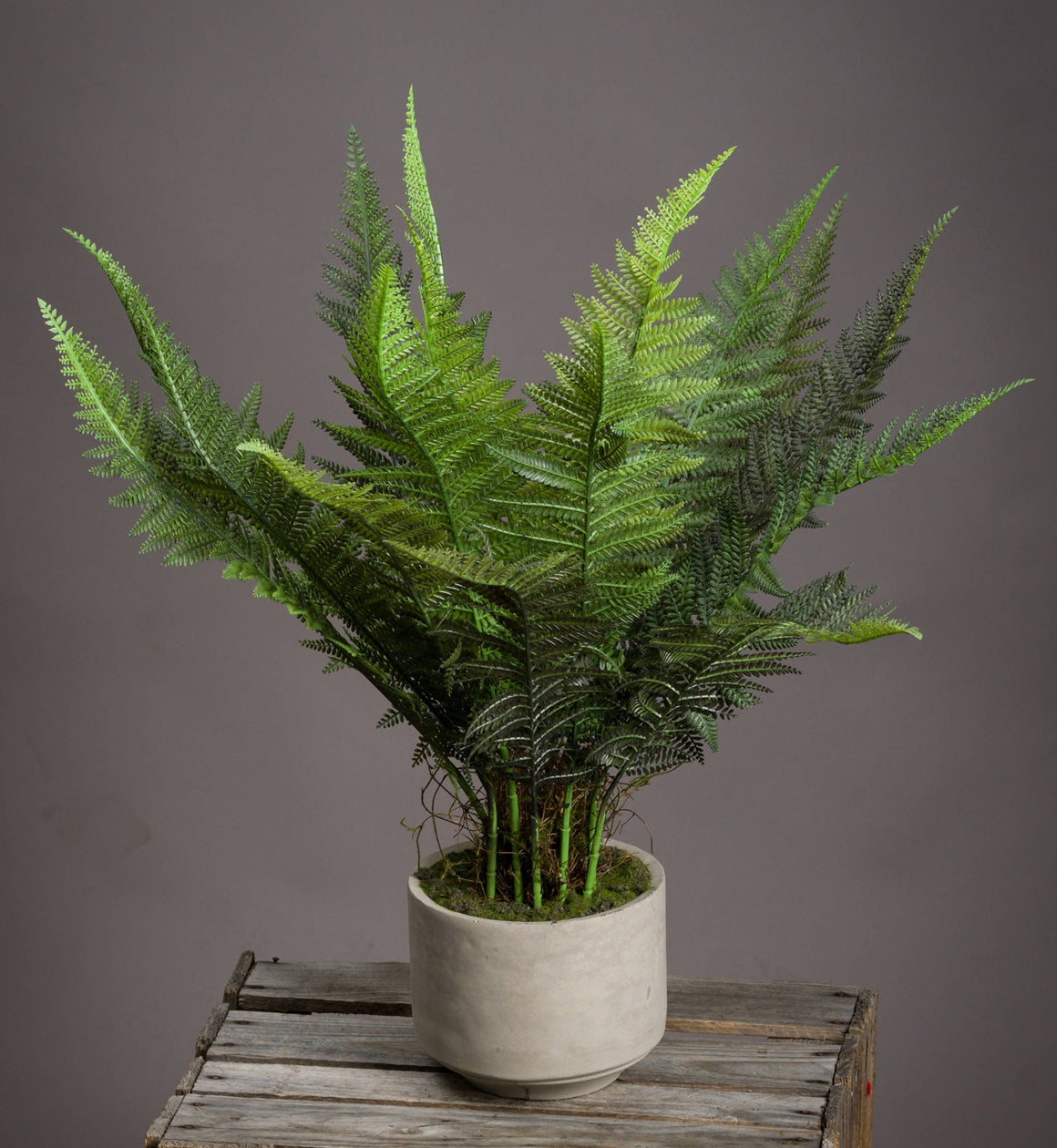 Large Faux Fern Grass in Stone Pot