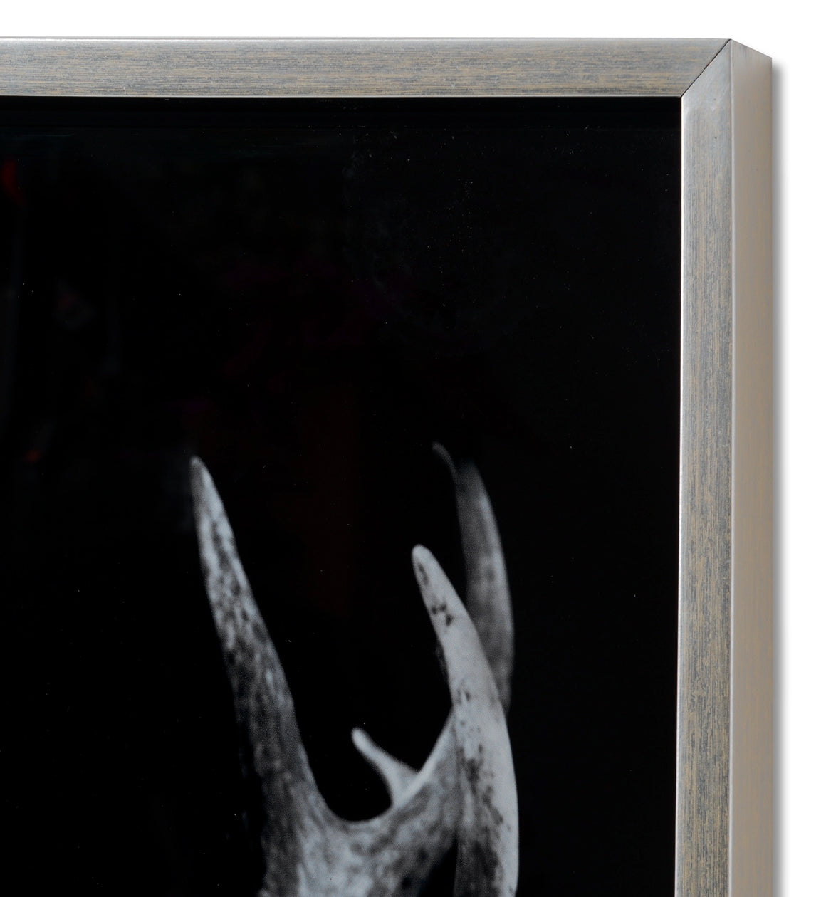 Stag Artwork in Glass Silver Frame